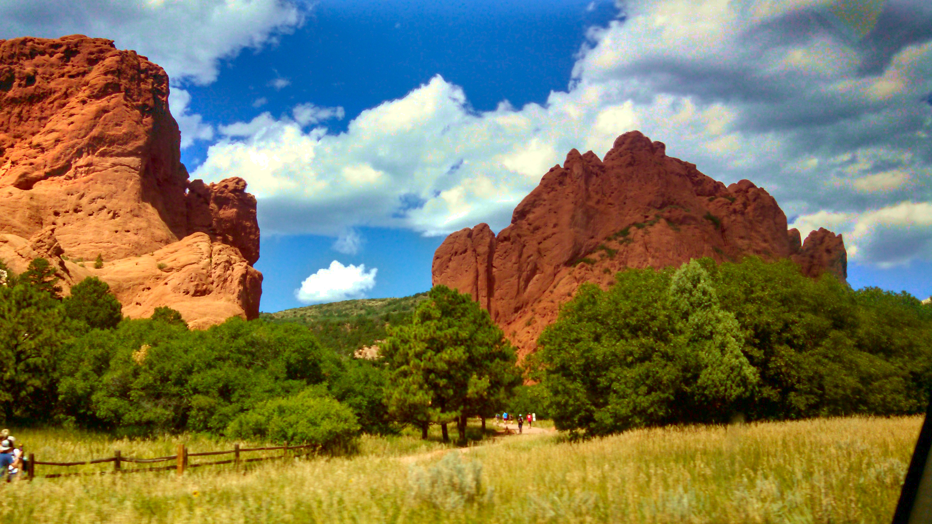 Two red rocks, with a blue sky behind and a row of trees in front, with yellowish grass at the bottom